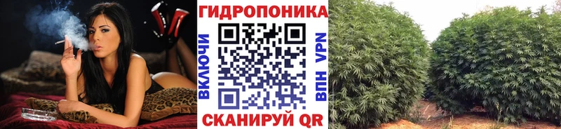 Где можно купить наркотики Сысерть КОКАИН  ссылка на мегу рабочий сайт  A-PVP  ГАШ  Мефедрон 