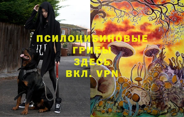 дмт Болохово