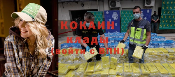 индика Няндома